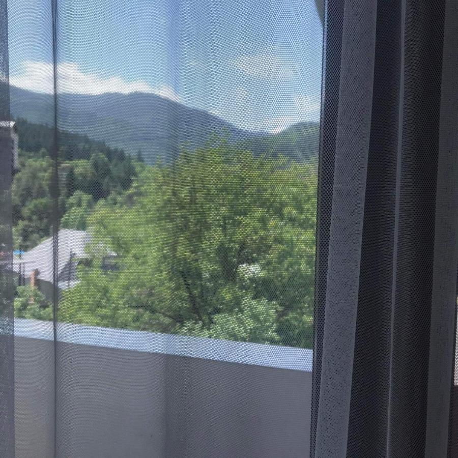 Zviad Guest House Borjomi Exterior foto