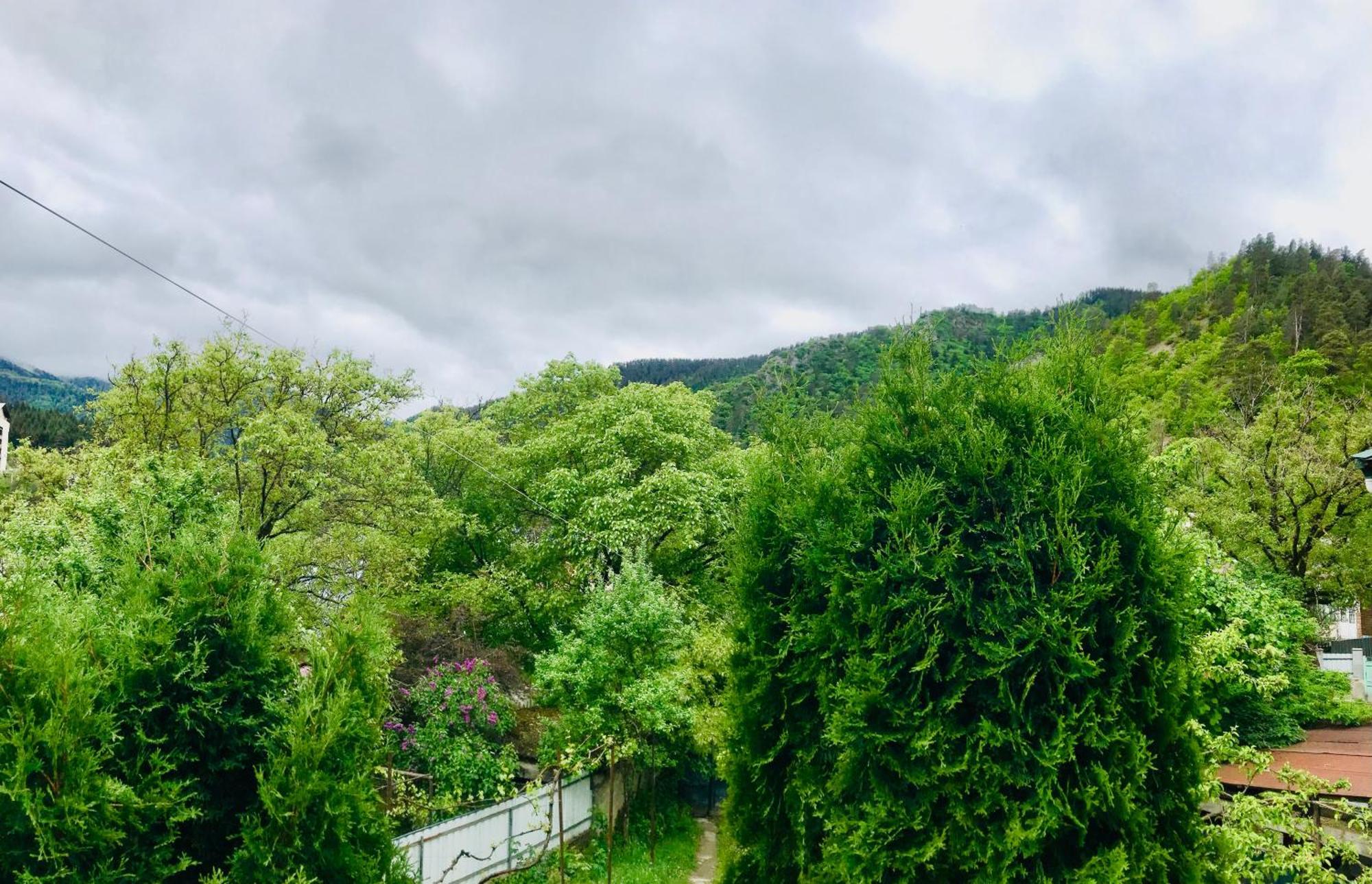 Zviad Guest House Borjomi Exterior foto