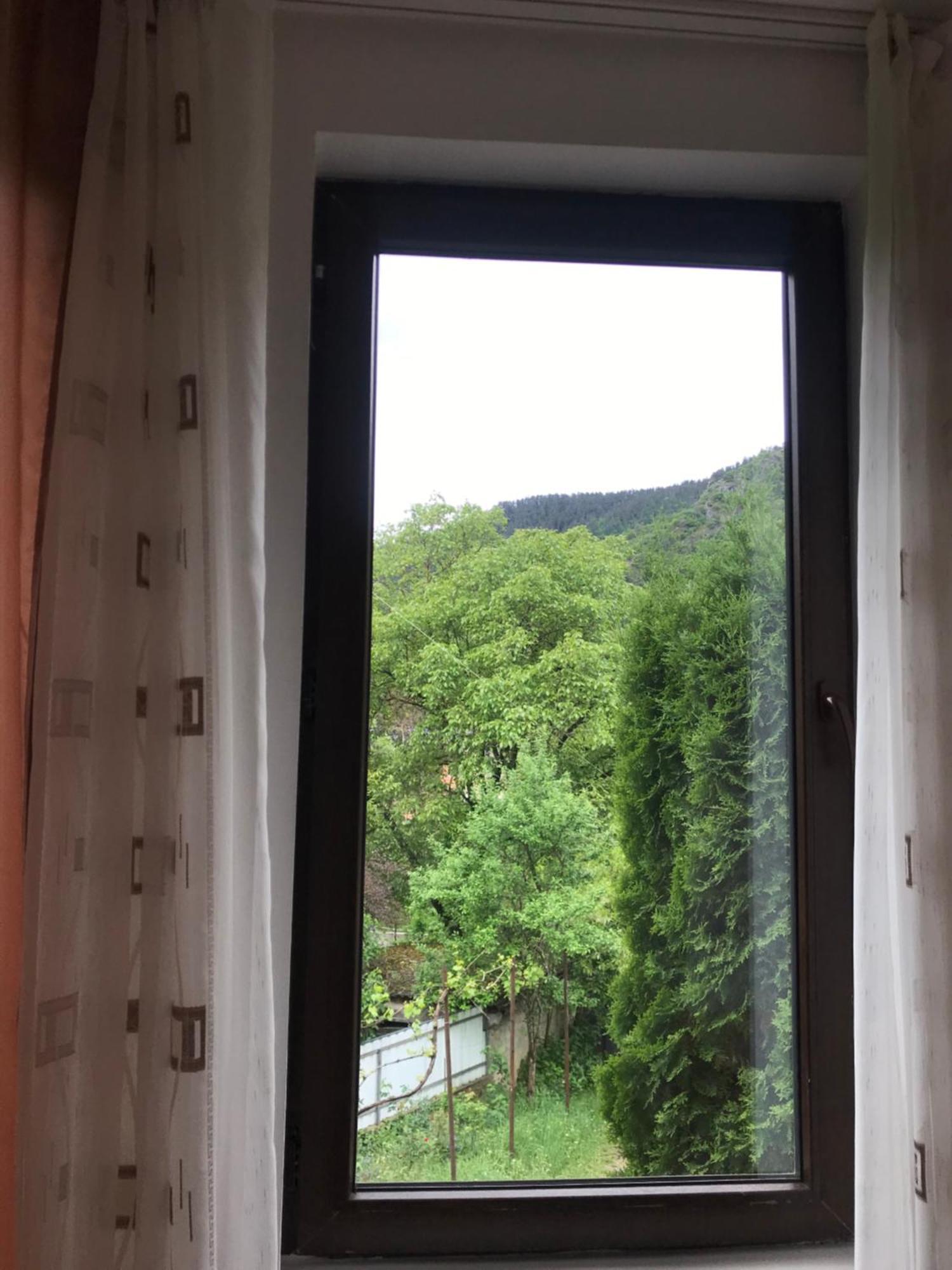 Zviad Guest House Borjomi Exterior foto