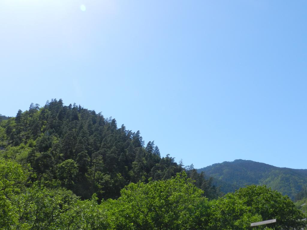 Zviad Guest House Borjomi Exterior foto