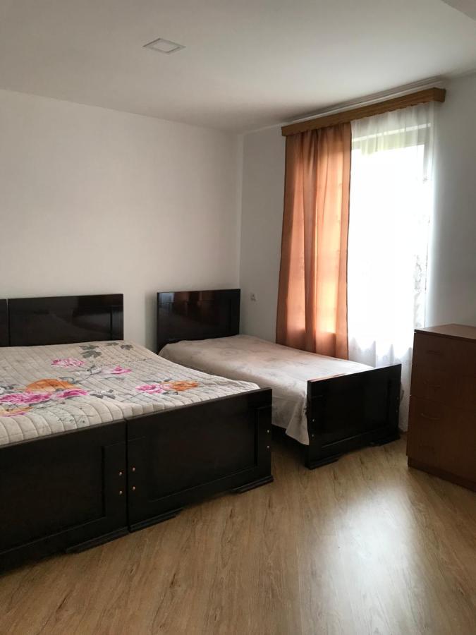 Zviad Guest House Borjomi Exterior foto